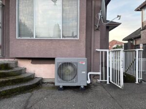 Heat Pumps Survive Extreme Cold with bcrc heating